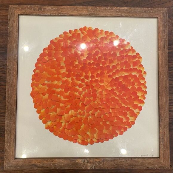 Carolynn Haydu print of Sun Birth signed by artist - Picture 1 of 4